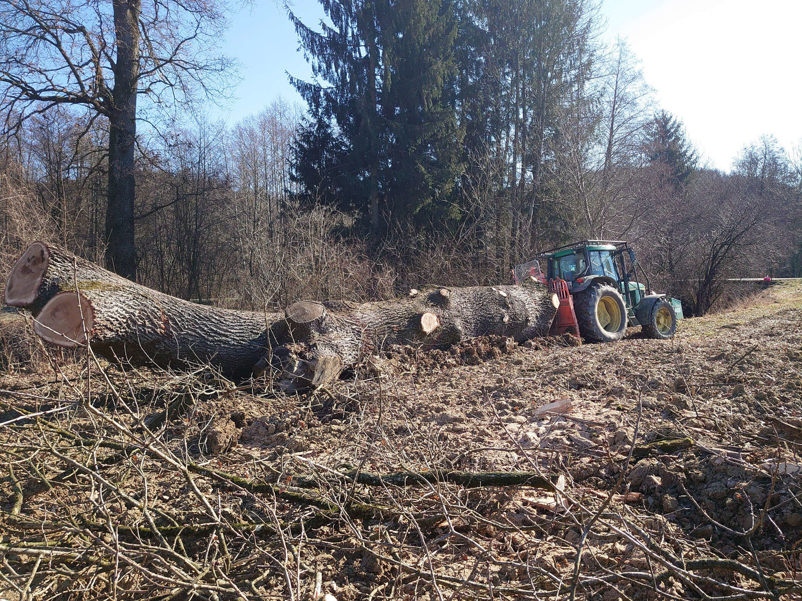Forstarbeiten von Forstunternehmen Julian Macek