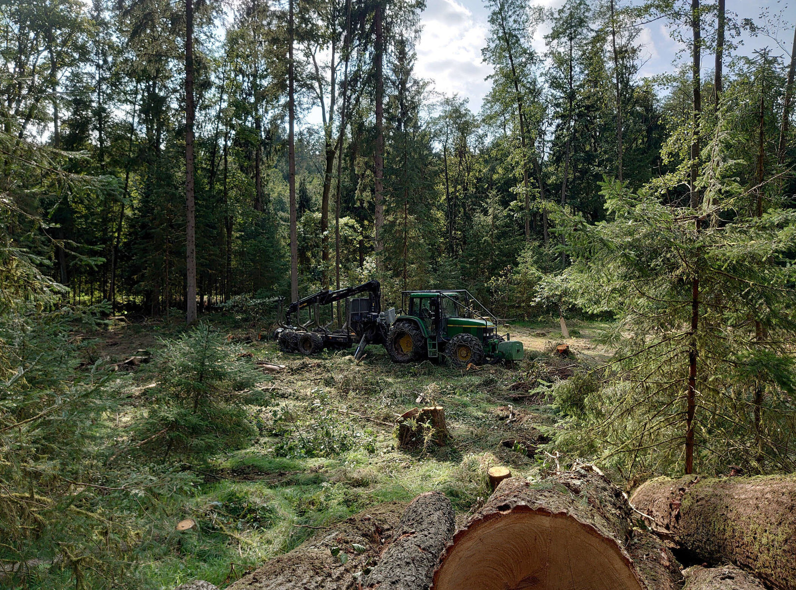 Holzschlägerungen von Forstunternehmen Julian Macek