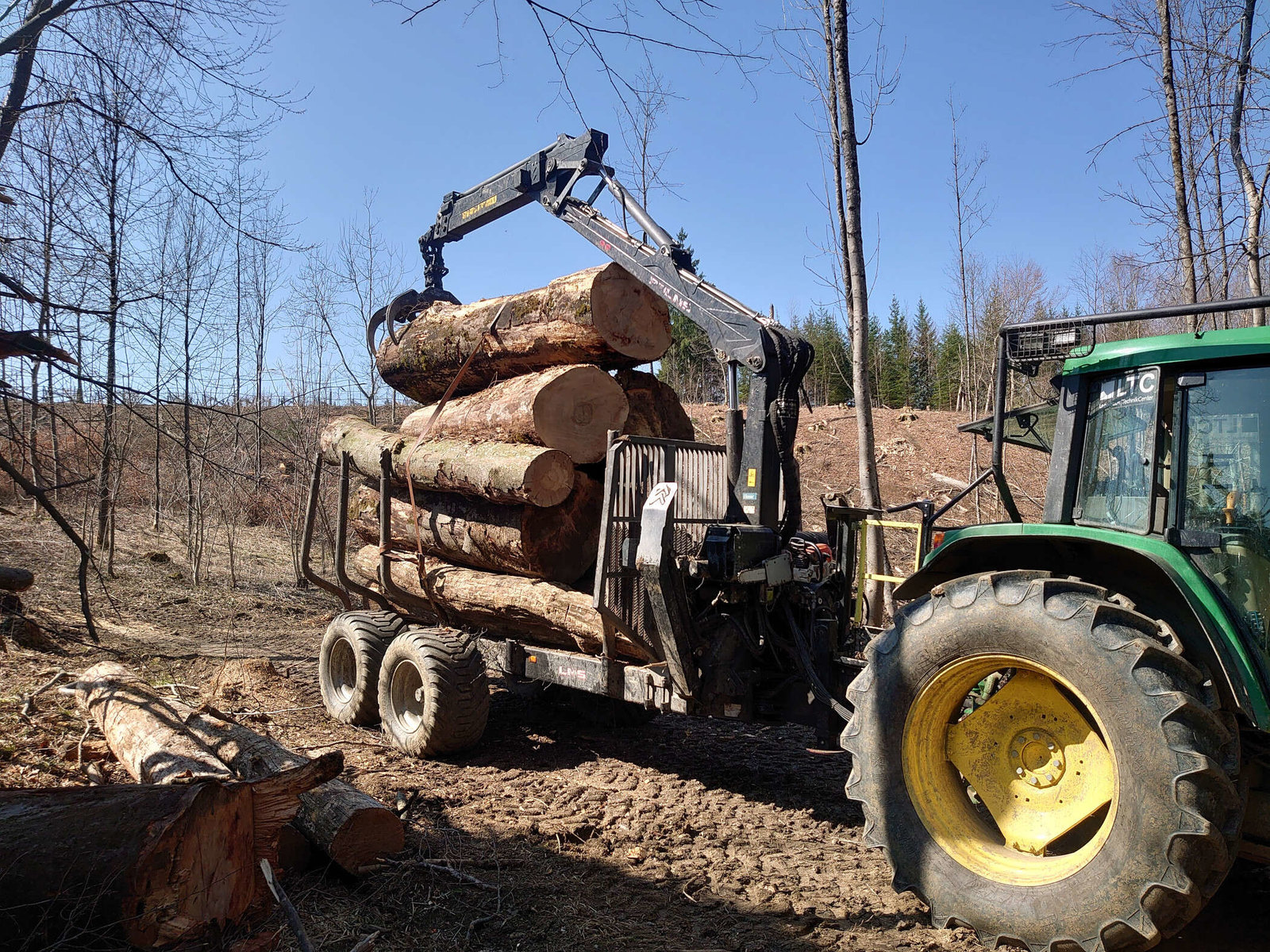 Baumabtragung von Forstunternehmen Julian Macek