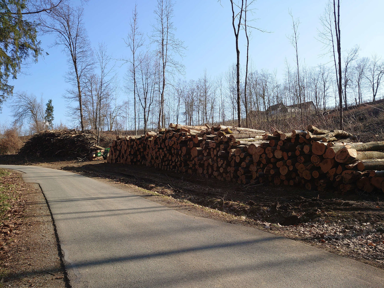 Baumfällungen im Grubtal von Forstunternehmen Julian Macek