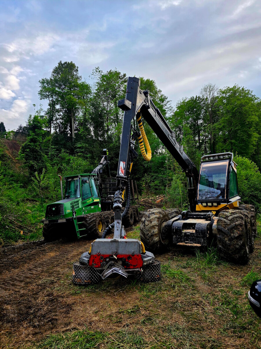 Forwarder von Forstunternehmen Julian Macek Holzschlägerungen & Baumabtragungen
