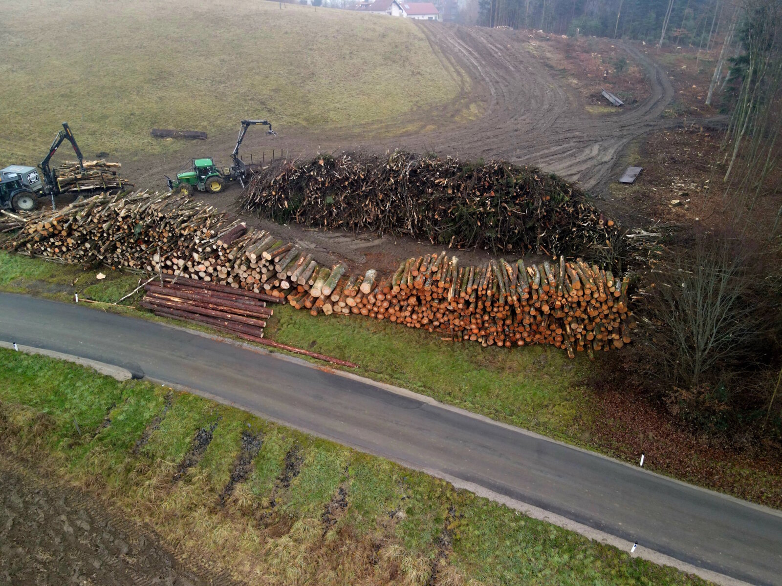 Holzschlägerung von Forstunternehmen Julian Macek Holzschlägerungen & Baumabtragungen