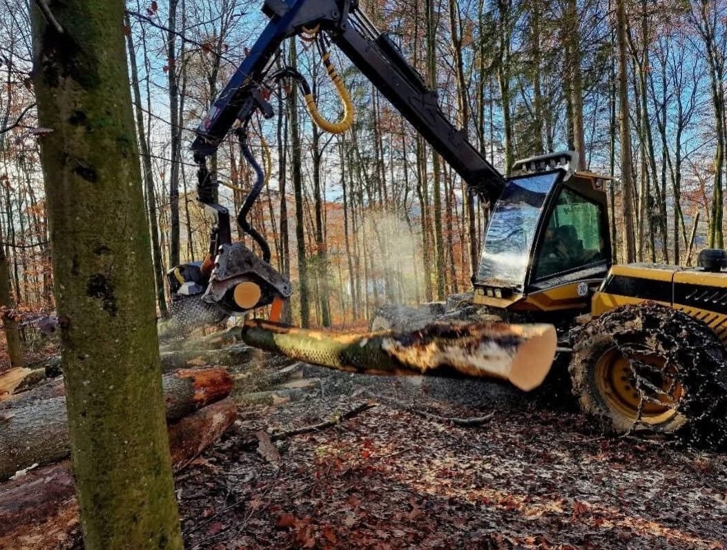 Forwarder von Forstunternehmen Julian Macek Holzschlägerungen & Baumabtragungen