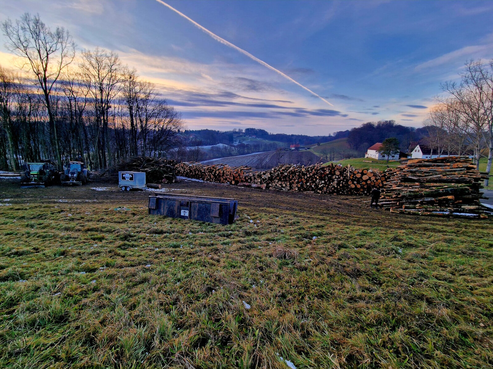 Holzschlägerung von Forstunternehmen Julian Macek Holzschlägerungen & Baumabtragungen