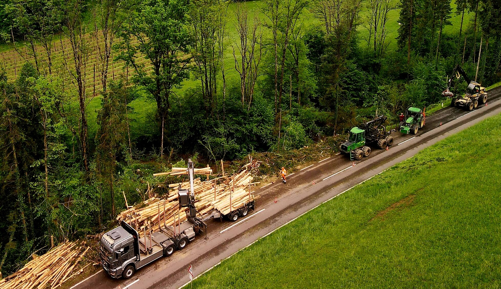 Holzschlägerung von Forstunternehmen Julian Macek Holzschlägerungen & Baumabtragungen